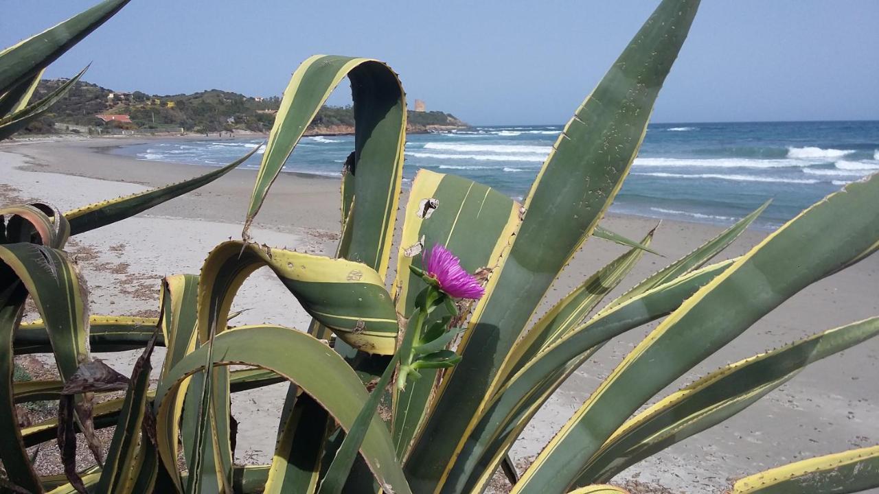 La Casetta Rosa Tertenìa Eksteriør bilde